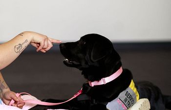 Book Public Manners Drop In Lesson