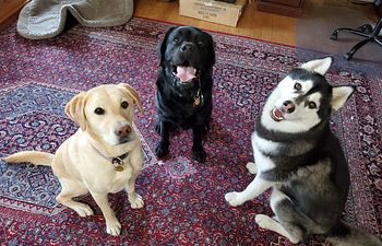 Book Make Up/Class Support Lesson