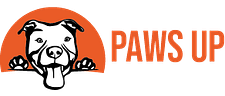 Paws Up Dog Training