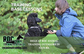 Book Training Base Lesson