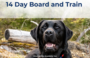 Book Board and Train  