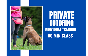 Book Private Tutoring