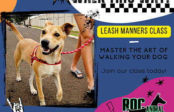 Book Walk This Way - Leash Manners