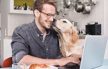 Book VIRTUAL  Personalized Training (all ages)