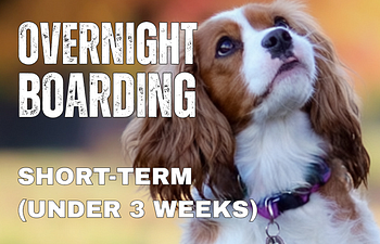 Book Overnight Boarding R/S/T