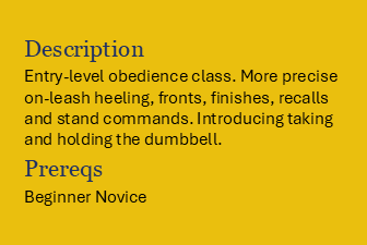 Book Novice