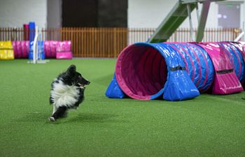 Book Agility | Level 2 | Beginner | Confidence and Sequences 