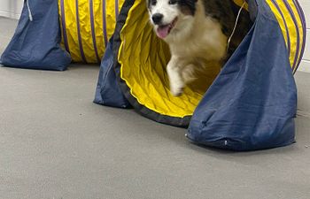 Book Intro to Agility Pt.1