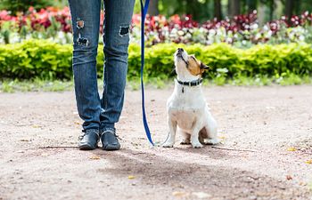 Book Beginner | Core Skills