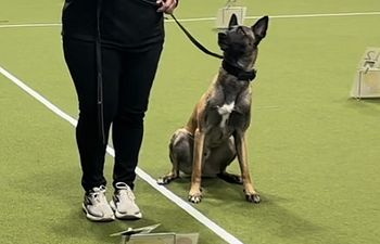 Book Rally Obedience: Novice