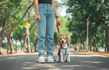 Book Intermediate | New Skills