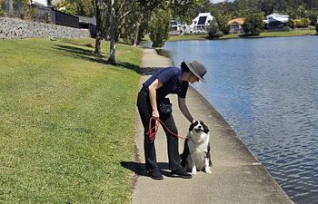 Book Walk & Train - Tuesdays (Harmony, Palmview)