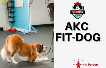 Book SPORT- AKC Fit Dog