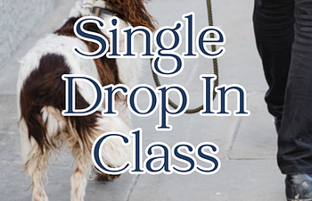 Book Drop In Class - Leash Walking