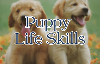 Book Puppy Life Skills