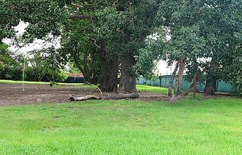 Book Barkside Park Full Day Daycare