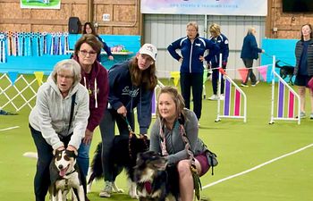 Book Introduction to Flyball (5 classes)