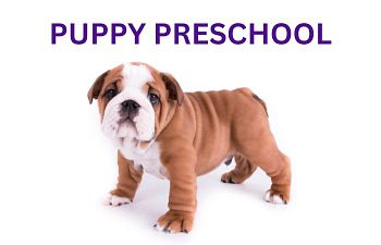 Book Puppy Preschool