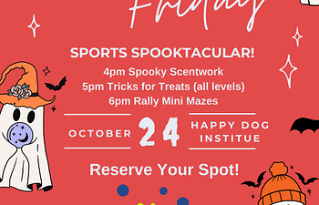 Book Tricks for Treats (all levels) | Freaky Friday at HDI