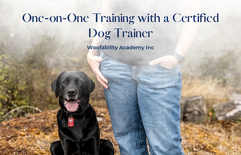 Book One-on-One Training with a Certified Dog Trainer