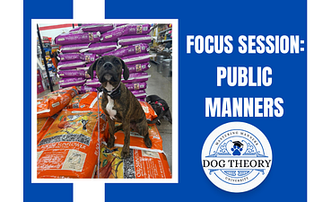 Book Focus Sessions: Public Manners