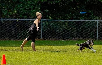 Book Intro to Toss & Fetch
