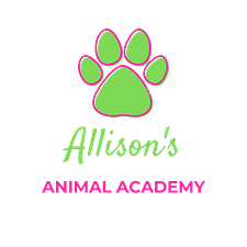 Allison's Animal Academy