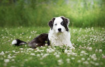 Book 10 Lesson Package