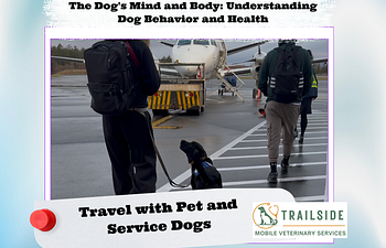 Book The Dog's Mind and Body: Travel with Pet & Service Dogs 