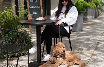 Book Patio Pup-Preparing for Life's Adventures