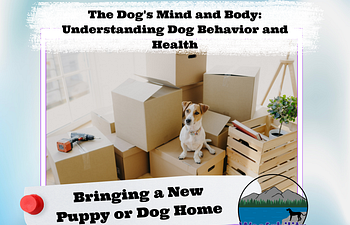 Book The Dog's Mind and Body: Bringing a New Puppy or Dog Home 