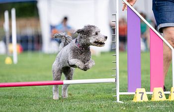 Book Outdoor Competition Field Rental - Ring Two - 30 min