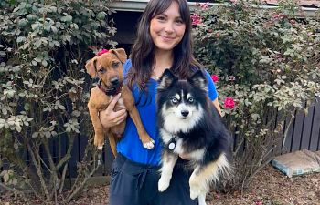 Book Basic Obedience with Rachel (Thursdays at 10:15 am OR Saturdays at 9:15 am)