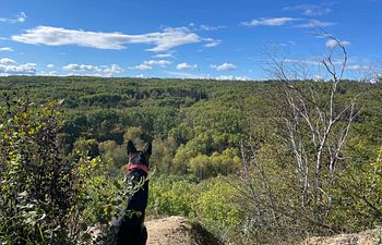 Book Initial Consult