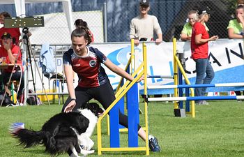 Book Finley Richgels - Master/International Handling - Working Spot