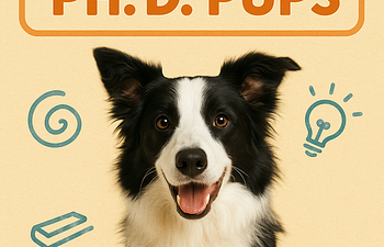 Book PHD Pup Session