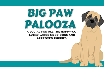 Book [01] Devon Socials - Big Paw Palooza