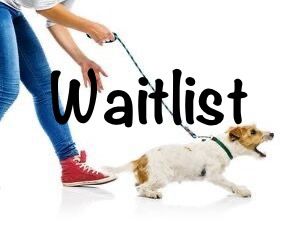 Book Relaxed Rovers (initial meeting)