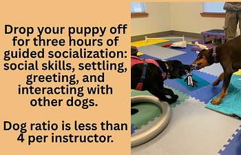Book Play Care (4mo. - 7mos.)