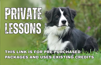 Book Private Lesson - Package Credit 