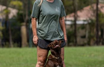 Book Bulletproof Recall Workshop 