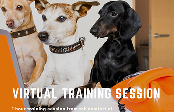 Book Virtual Training Session 