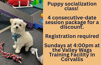 Book 1. Puppy Play, 8wks.-16wks.