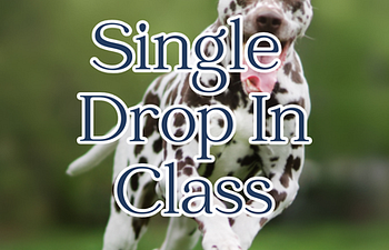 Book Drop In Class - Total Recall