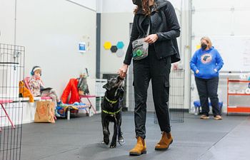 Book Advanced Manners Semi-Private Class | Two Dog/Handler Groups, Six 30-Minute Sessions