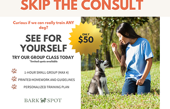 Book Real Life Skill Sampler
