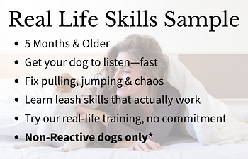 Book Real Life Skill Sampler