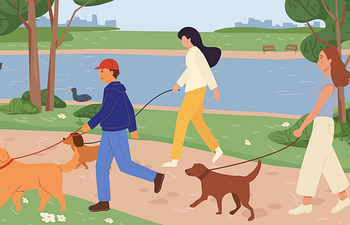 Book Pack Walk