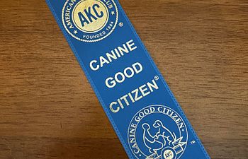 Book AKC Canine Good Citizen Exam 