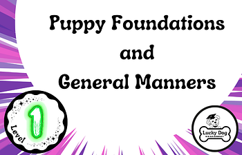 Book Level 1 | Puppy Obedience and General Manners